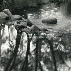Morning Tide