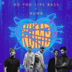 Do you like Bass X Numb (Mashup DNN)