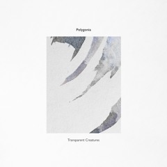 Polygonia - Transparent Creatures [Preview] | LLESS022