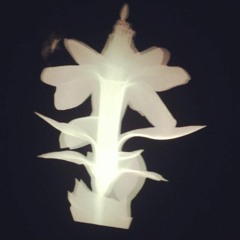 Everything Is Calculated