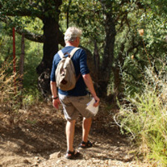 Walking