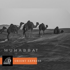 Muhabbat - Mr Deeper
