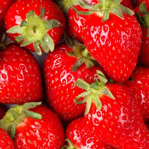 Sparta Strawberry V1 Base