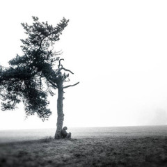 The sound of silence • | Lasha Kadagishvili |