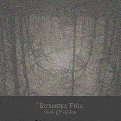 Bernardus Fritz - Girls Of Salem