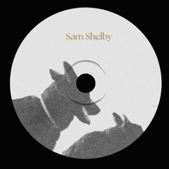 Sam Shelby - Infinity