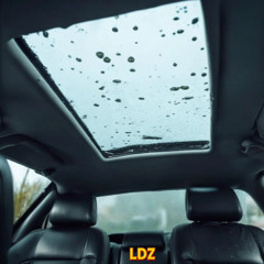 Water Damage  LDSR 201