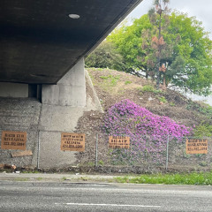 Renaissonic Radio 4/15/25