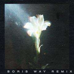Light That Leads Me (Boris Way Remix)