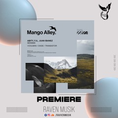 PREMIERE: Abity & Juan Ibanez - Voolman [Mango Alley]