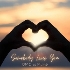 DMC vs Plumb - Somebody Loves You [Sample]