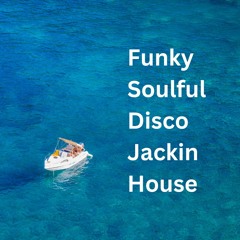 Funky, Soulful, Disco & Jackin House Mix ( November 2023 )
