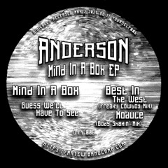 [PREMIERE] Mind In A Box - Anderson | D.I.Y. [2025]