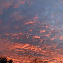 year of the snake (voice memo)