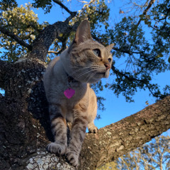 00S7EFEN : What Went Wrong (prod. FACET)