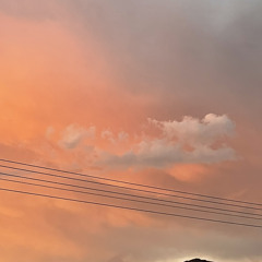 不遗憾 - 蔡恩雨 Priscilla Abby)