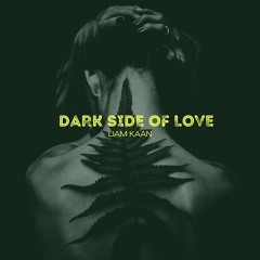 Dark Side Of Love (Original Mix)