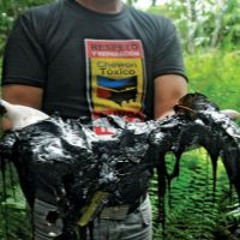 Unlocked: Will Talks to Steven Donziger About Taking on Chevron