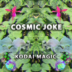Cosmic Joke - Kodai Magic (145 Bpm)