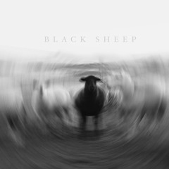 Black Sheep ft KNOMADD