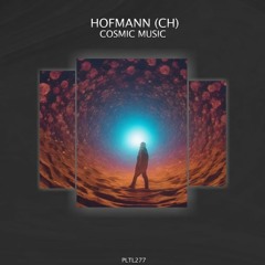 PREMIERE: Hofmann (CH) - The Control [Polyptych Limited]