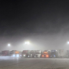 Induction Protocol for Ruminants II (cover - original composition by Anthelian)