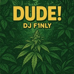 Dude! - DJ F1NLY mix - Crossy