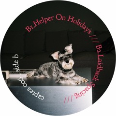B1. DOTT - Helper On Holidays