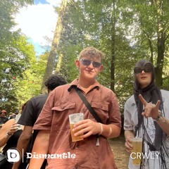 DSMNTL MIX004 - CRWLY