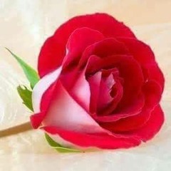 Kafan Me Khor ke Pa Makh  by Hasnain Khan.m4a