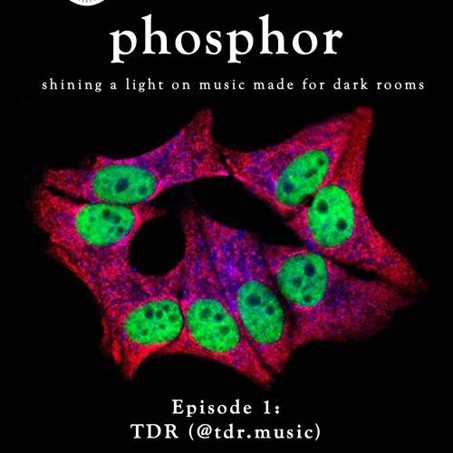 phosphor, ep. 1: TDR