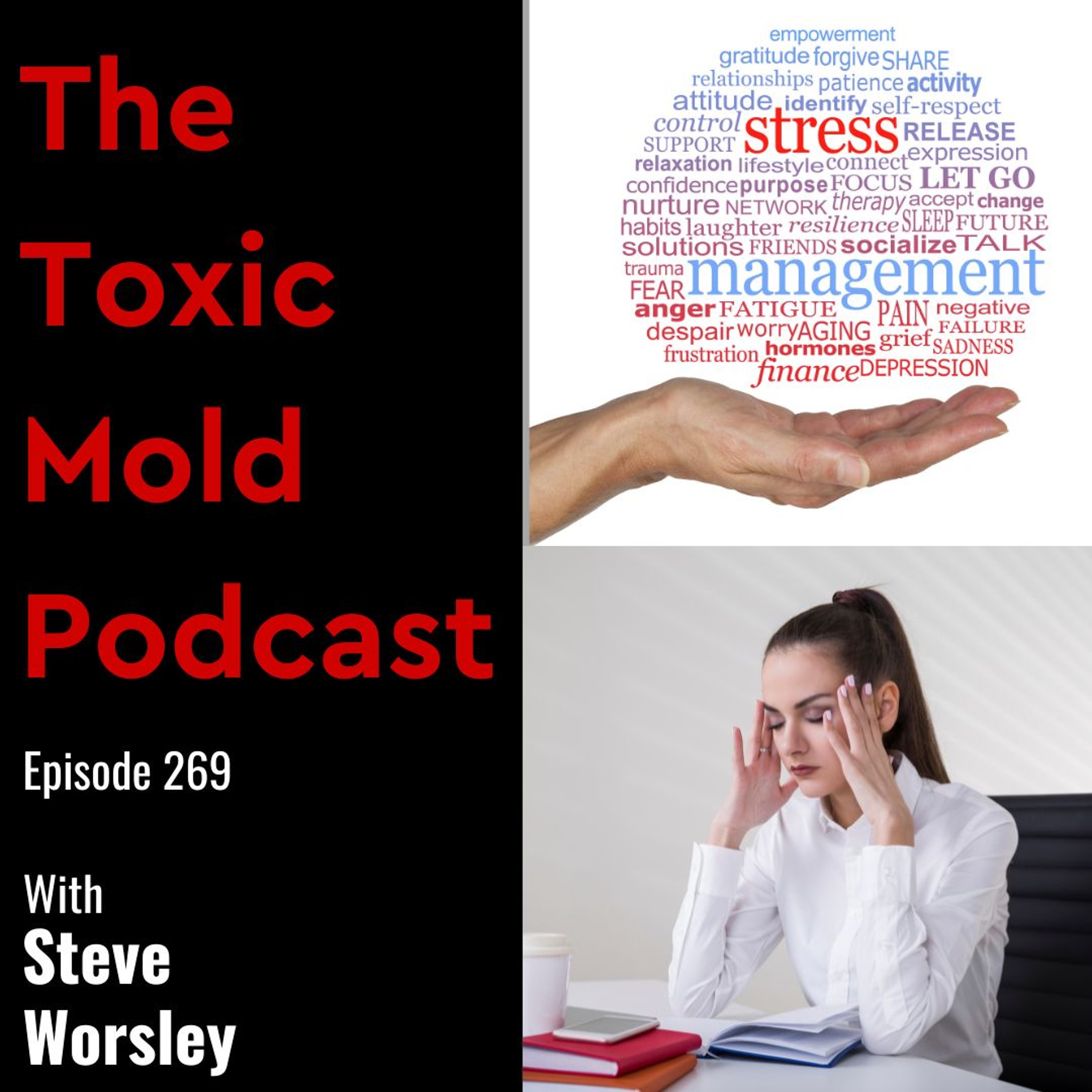The Toxic Mold Podcast