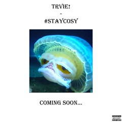 7. like marrgielaa said (prod. bleed)