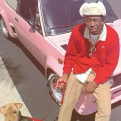 Tyler The Creator 🐸