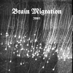 Shayan Kenzo - Brain Migragtion - 001.mp3