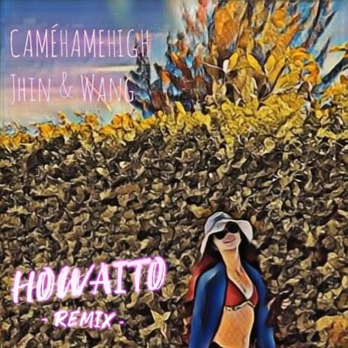 Flemme & Maoti - CAMEHAMEHIGH [howaitoremix]