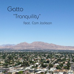 Tranquility (club mix)