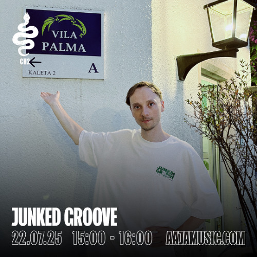 Junked Groove w/ Junky Palms - Aaja Channel 2 - 22 07 25