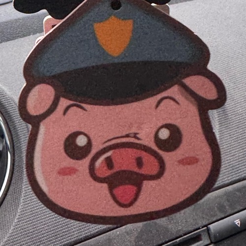 Hilfe, Mein Laptop Quitscht !