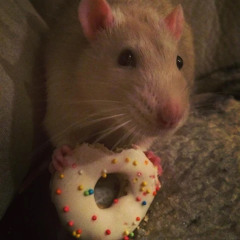 “my mom didnt feed me today” - quackity