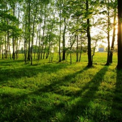 オスピオスパイト background beat music DOWNLOAD