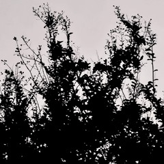 LOVE EQUALS OVERDOSE