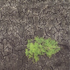 Hole In The Sky (2024) 320k mp3