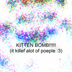 KITTEN BOMB!!!!! (it killef alot of poeple :3)
