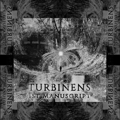 TURBINENS - 1st Manuscript