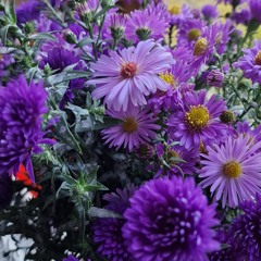 Zlatentsia_Malenkoj_devochkoj.mp3