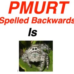 PMURT & Me