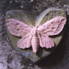 Back From The Dead - Melanie Martinez (Extended by voidepth) 8d