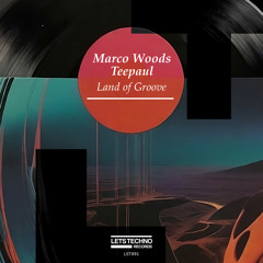 Marco Woods, Teepaul - Aktivists groove (Original Mix)