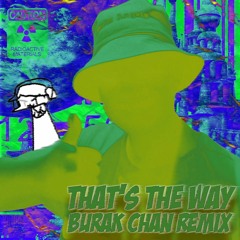 MADMIZE - THAT'S THE WAY (BURAK CHAN REMIX)